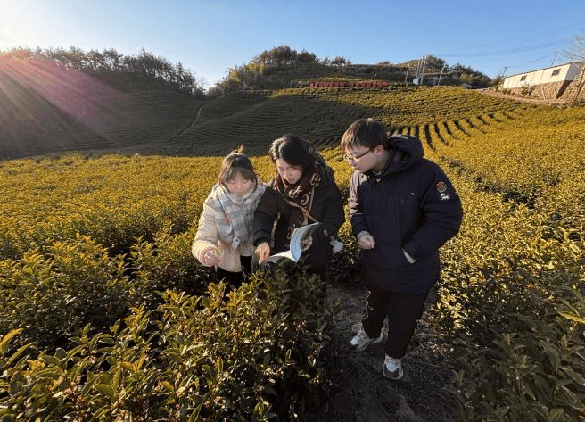 kaiyun网址上海应用技术大学2025年大学生寒假社会实践活动简报（第二期）(图11)