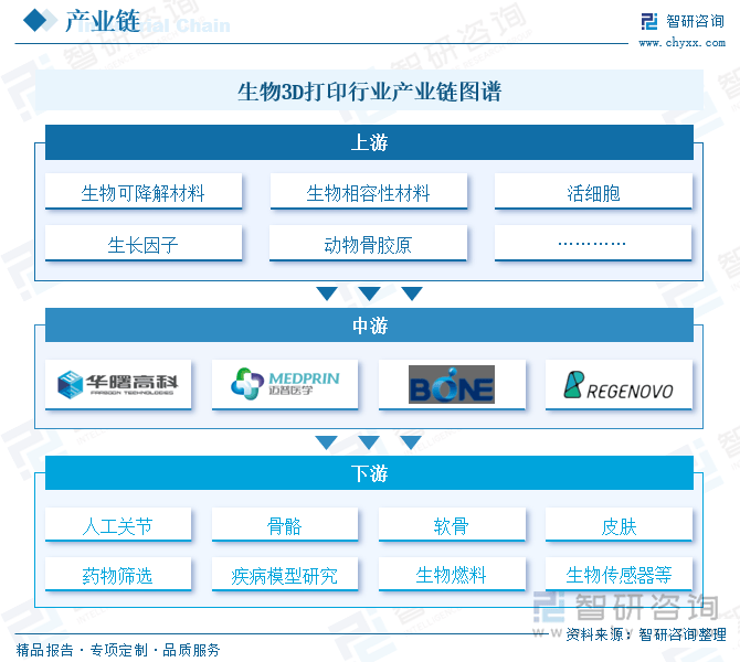 一文了解中国生物3D打印行业发展现状及未来前景趋势预测（智研咨询发布）(图3)