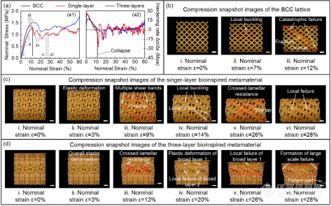 香港城市大学陆洋教授课题组ACS Appl Mater Interfaces： 基于3D打印(图2)